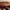 183_header_large