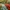 20220505-DvE-park-198-1