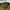 Medieval battle reenactment on a grassy field with knights and colorful flags.