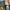 Collage of European architectural landmarks, landscapes, town squares, and historic buildings.
