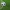 Soccer ball hitting the back of a net on a green field.