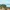Sunny coastal landscape with green hills, olive trees, and calm blue water.