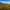 Vineyard with autumn colors overlooking a valley and distant mountains under a blue sky.