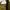 Country house in a green field, framed by blurred leaves and a wooden post.