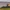 Castle-like building on green fields with sheep, set against a steep, flat-topped mountain.