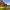 Wooden house by a river surrounded by green grass and trees under a blue sky.