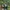 Two people canoeing on a calm river surrounded by lush, green trees.