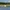 Two people kayaking on a calm lake with trees and birds in the background.