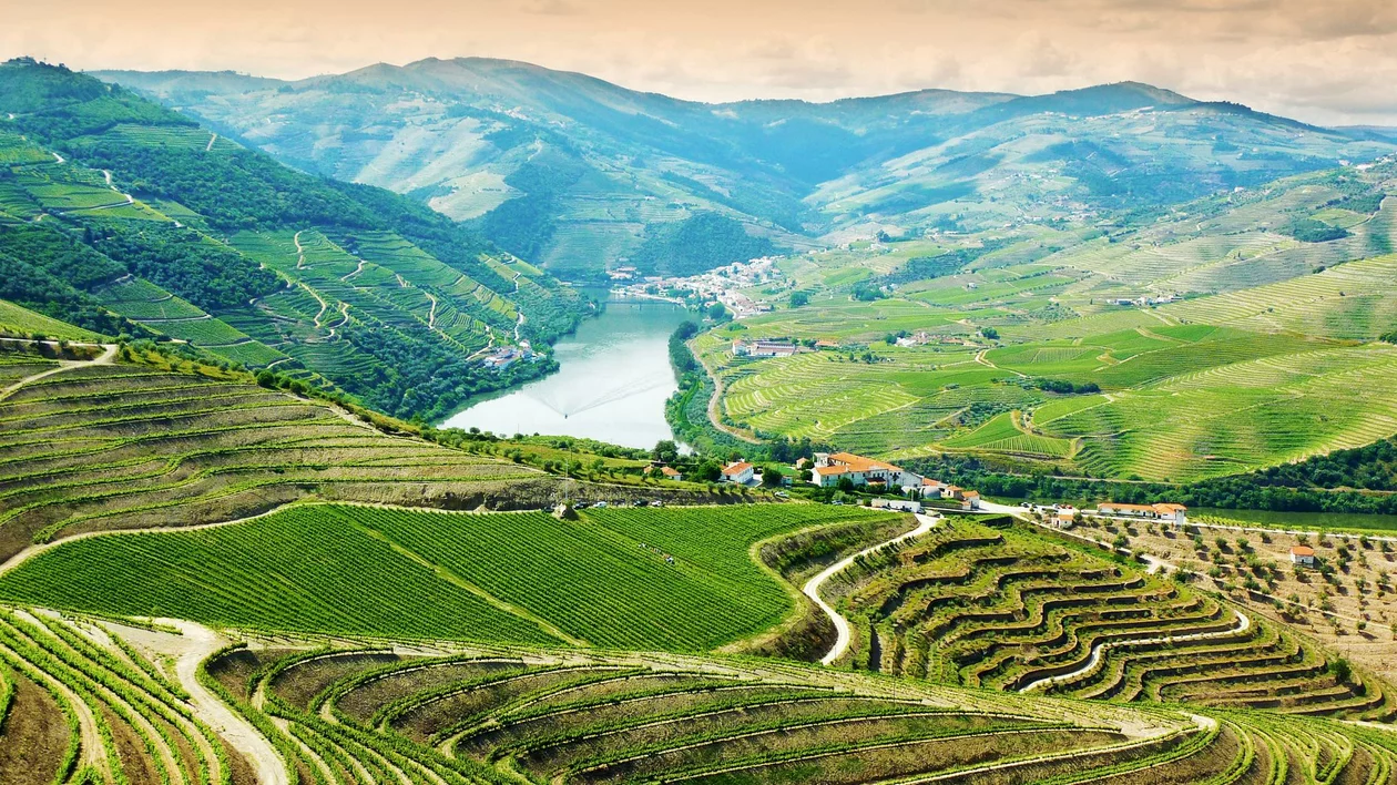 Vineyards in Douro Valley