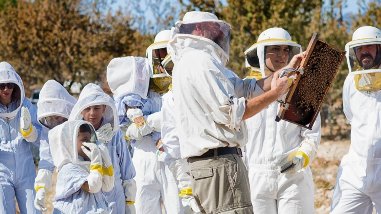 Picture 2 Bee workshop