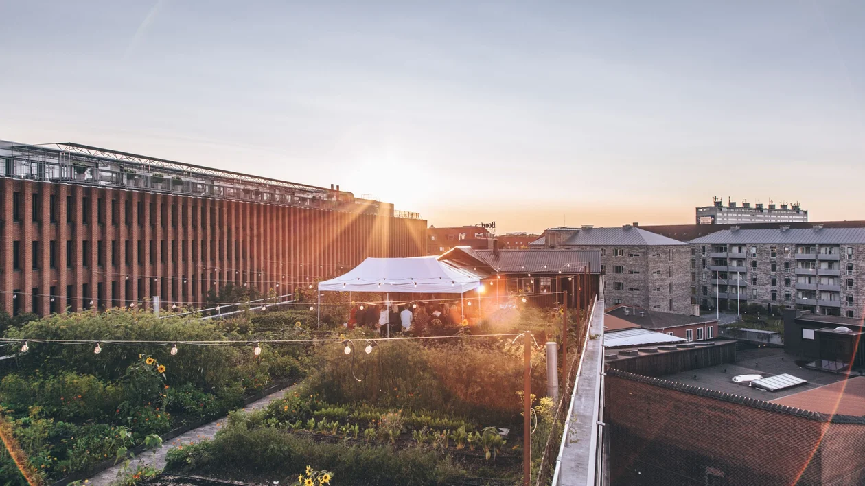 Copenhagen-Gro-Spiseri-rooftop-garden (1)