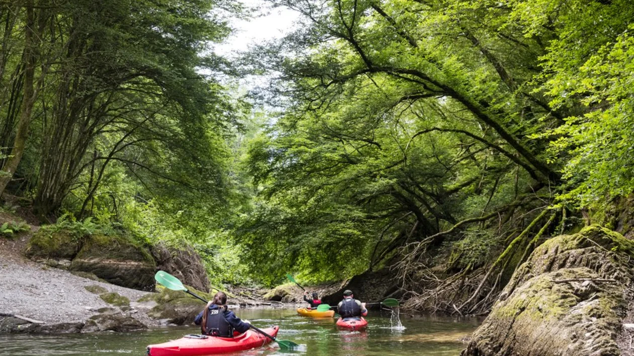 In article_Watersports_Upper-SûreLake_Lultzhausen_47©LFT_ThomasLinkel-custom