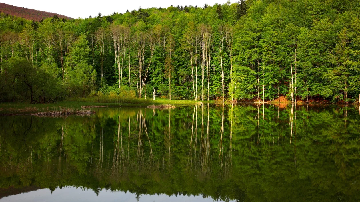 Photo 1_Filip Kulisev