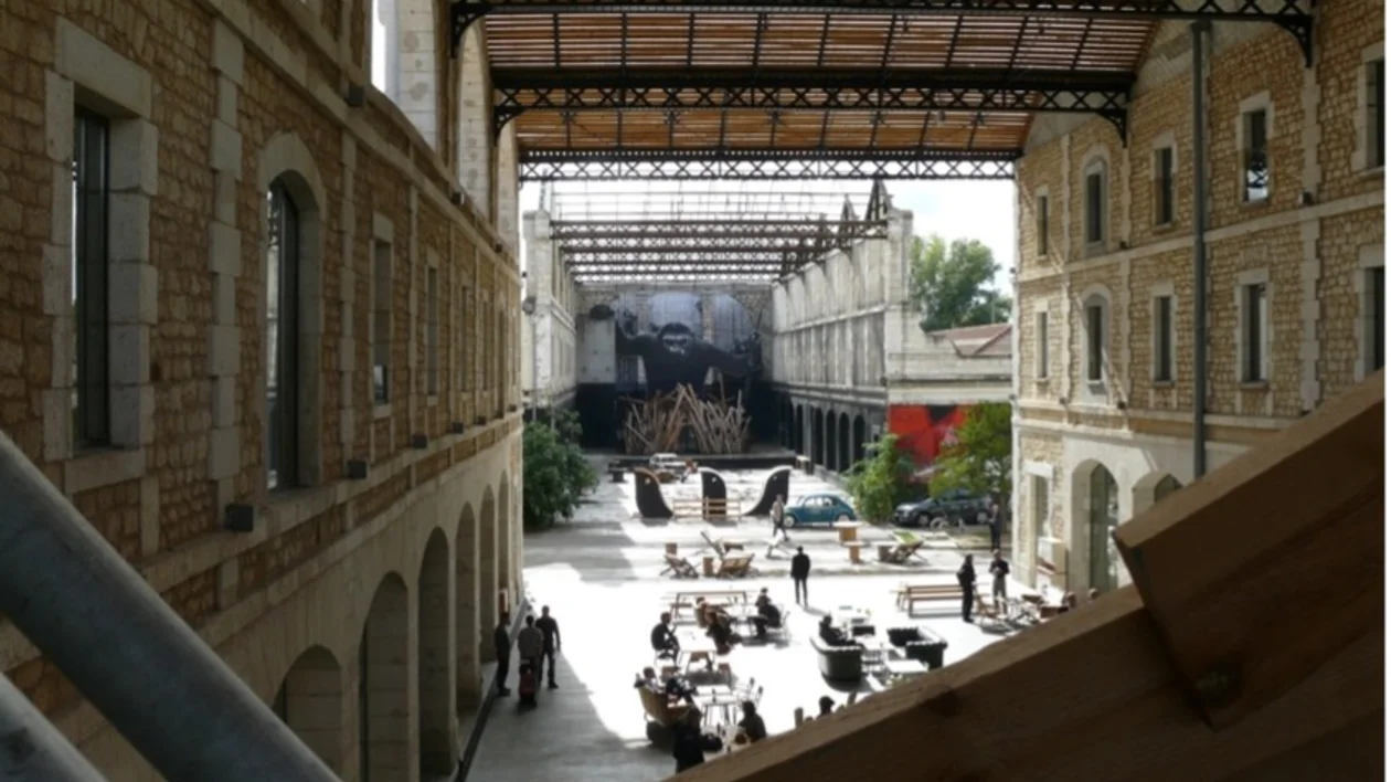 Darwin Ecosystem, ©Sara Soulignac