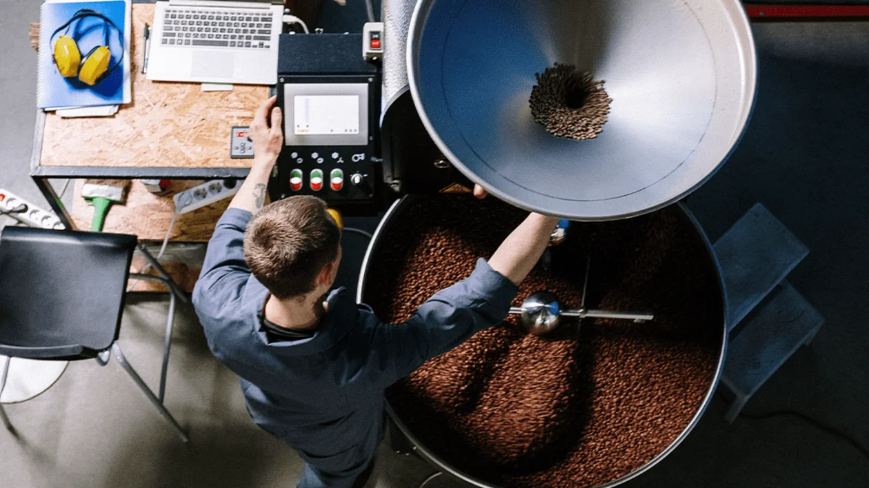 A coffee roaster using machine to roast coffee beans from green to brown.