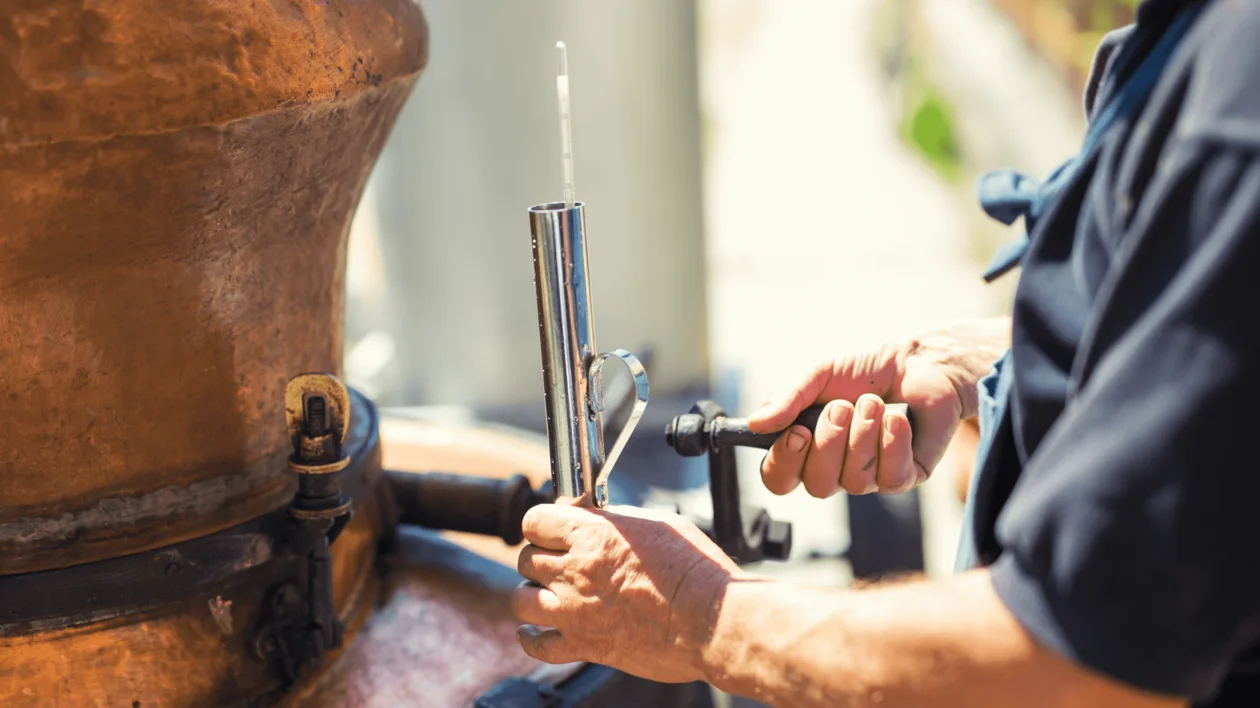 Traveling in Europe while making things with your hands _1200x630