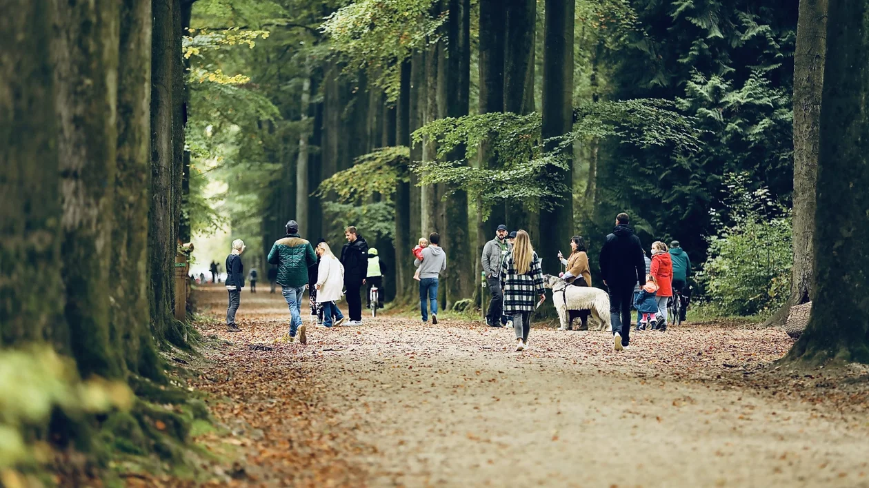 The age-olg Sonian Forest, a perfect spot to unwind © Bart Goossens