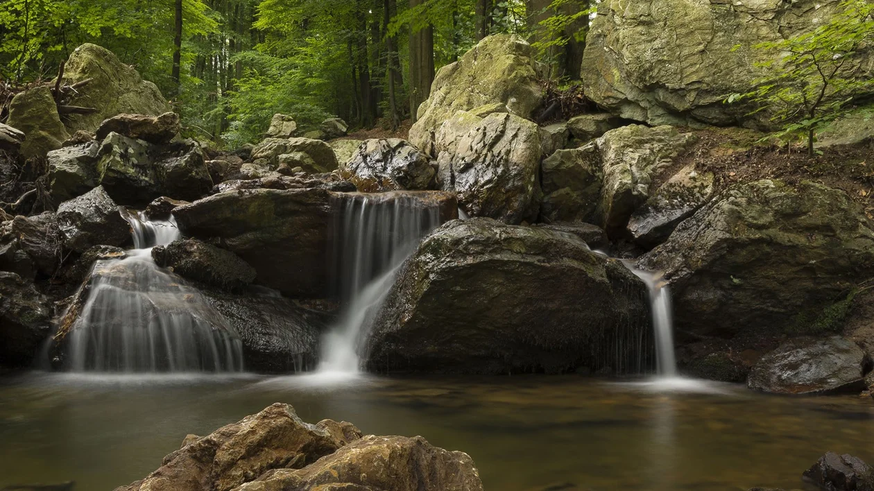 Parc naturel des Sources, Belgium, © Pascale Ramakers Pascale Jaminet