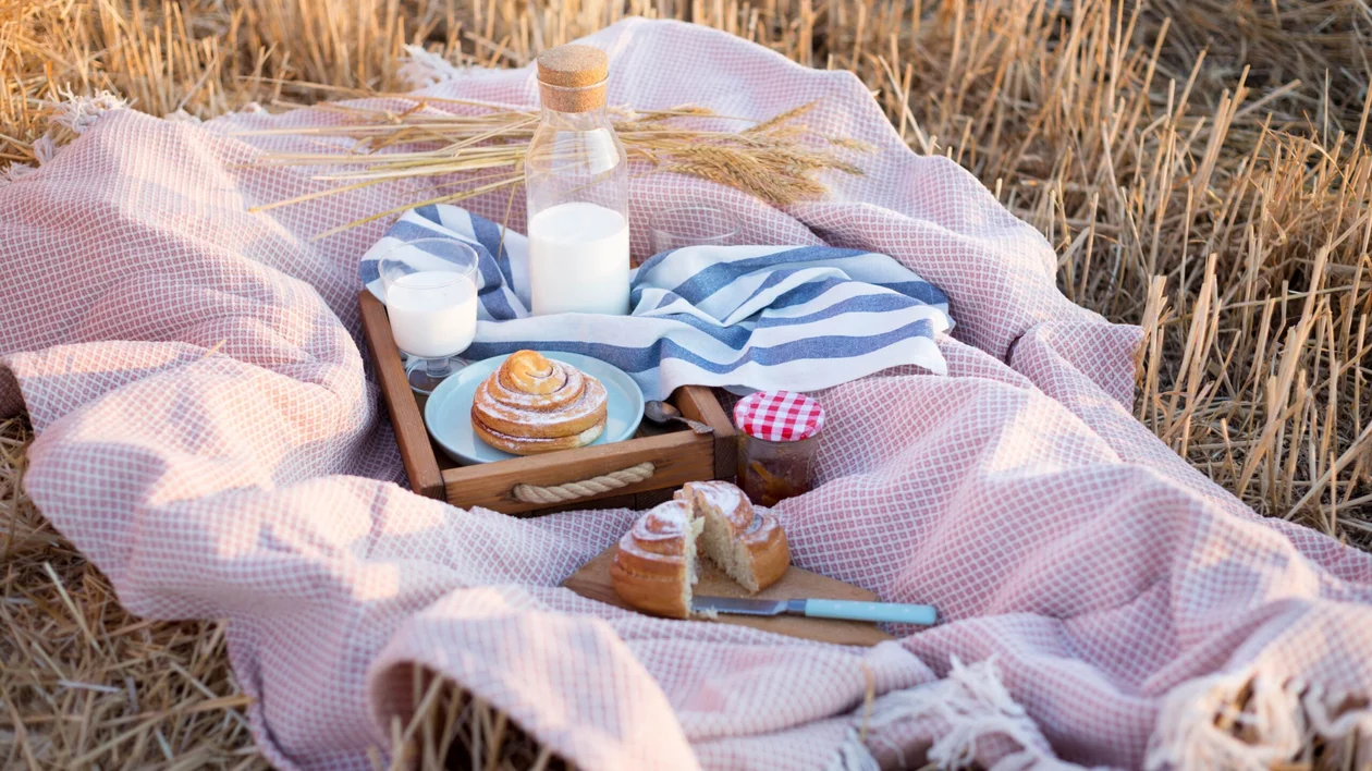 Picnic in a wheat field