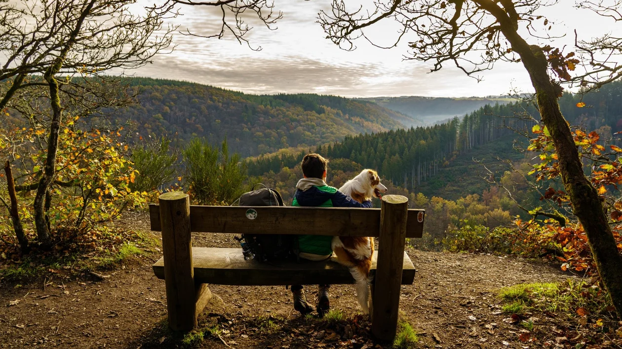 Lake Nisramont, Belgium