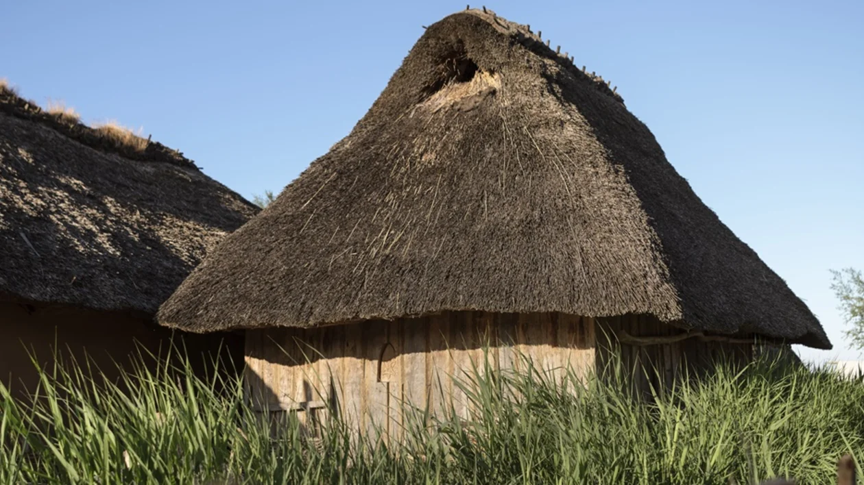 Museum Viking Trading Center Haithabu, Germany