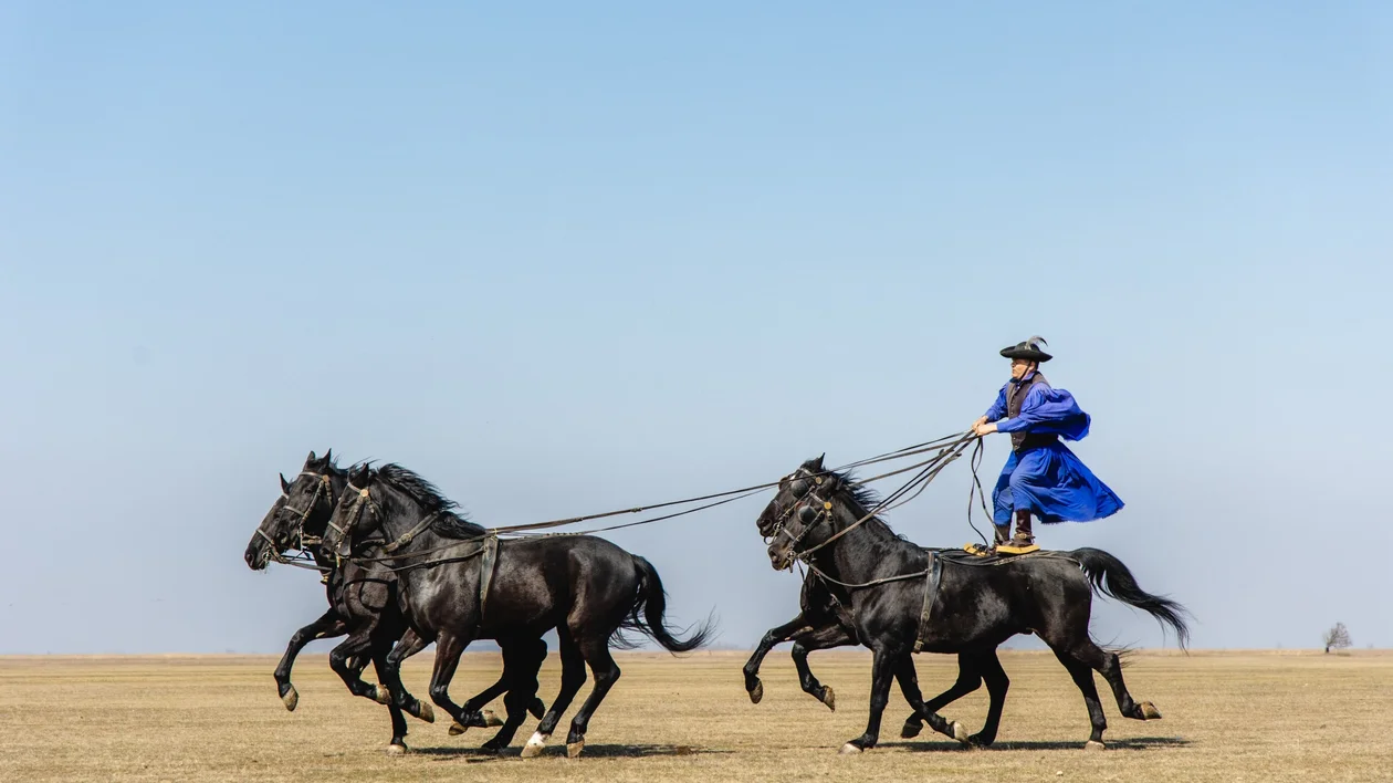 Hortobágy Horse Show, Hungary