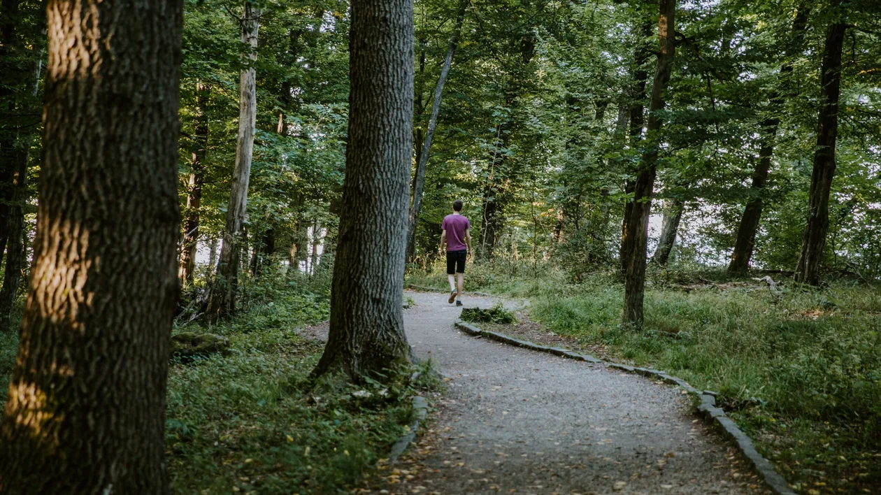 Dobogókő, Hungary.