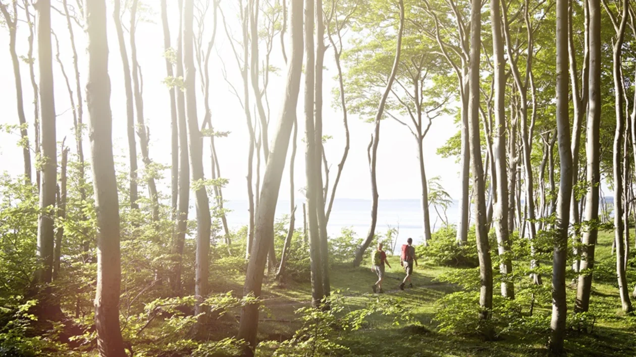 Jasmund National Park, Germany