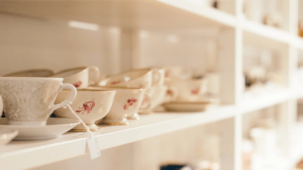 Fasaani Antiikki, Finland