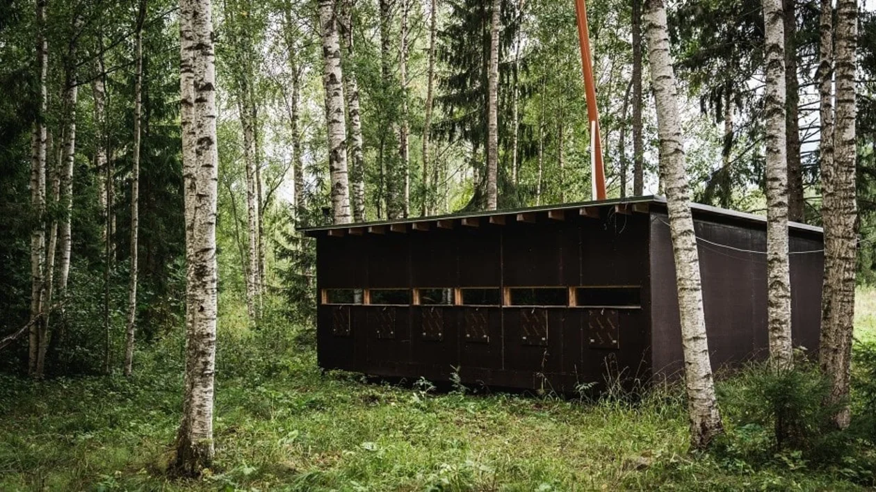 Hunker down for the night in purpose-built bear-watching hide.