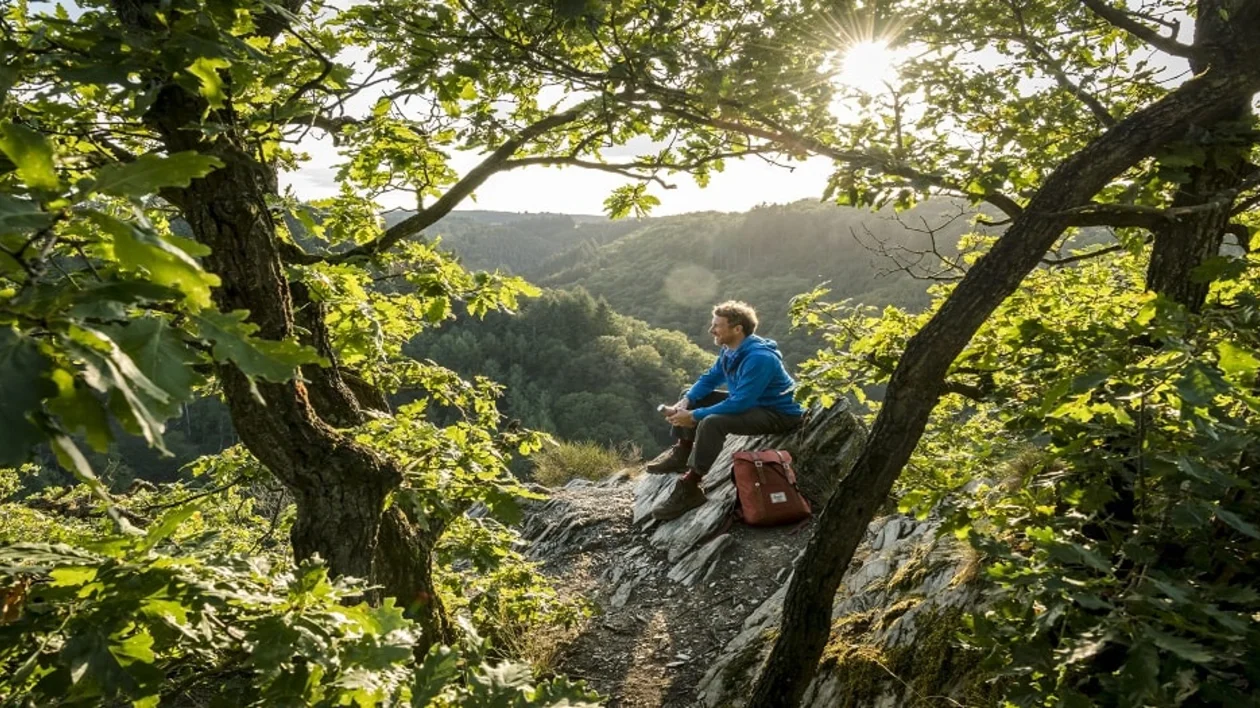 Hunsrück National Park: Hike to the Geierlay suspension rope bridge