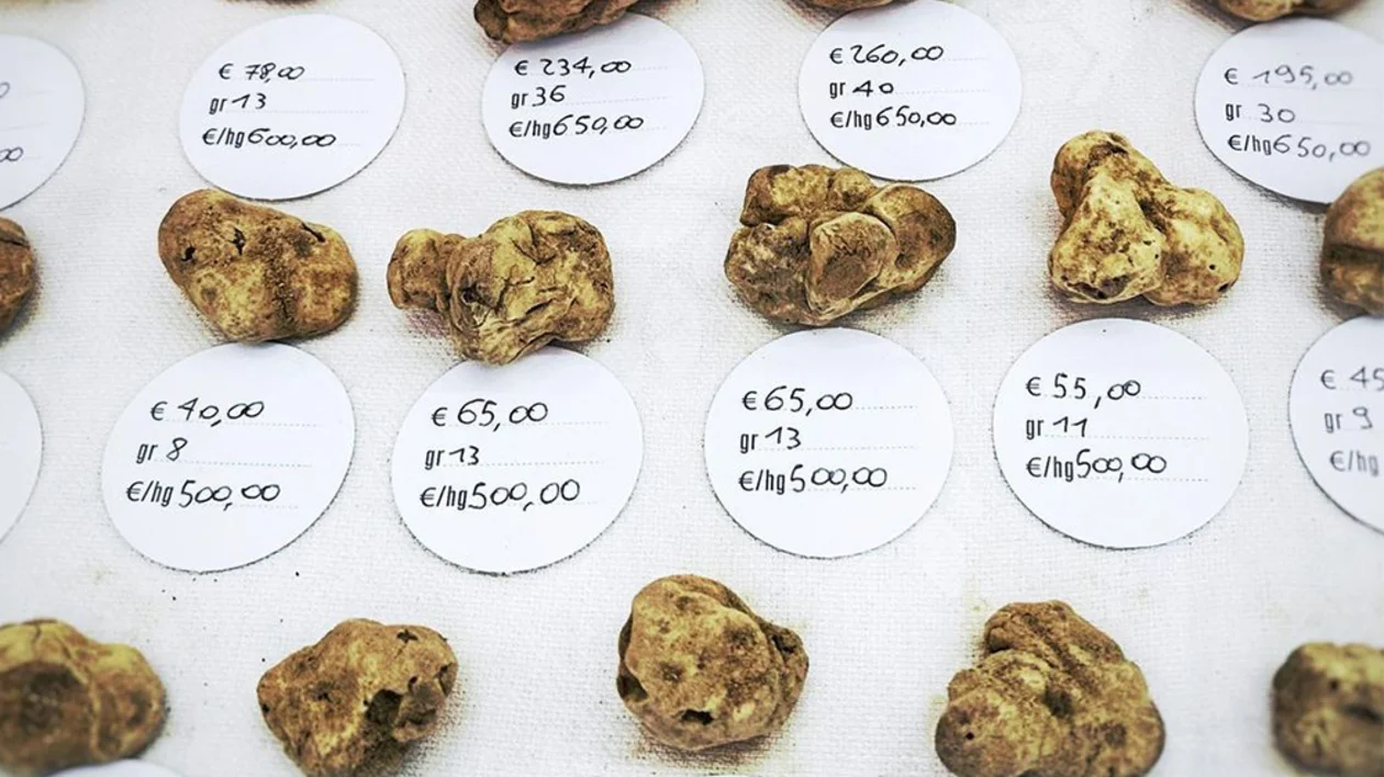 ETC_SM-October2023_Visual_02_v1.0