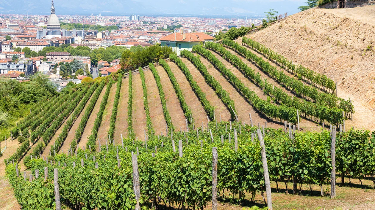 ETC_SM-October2023_Visual_05_v1.0