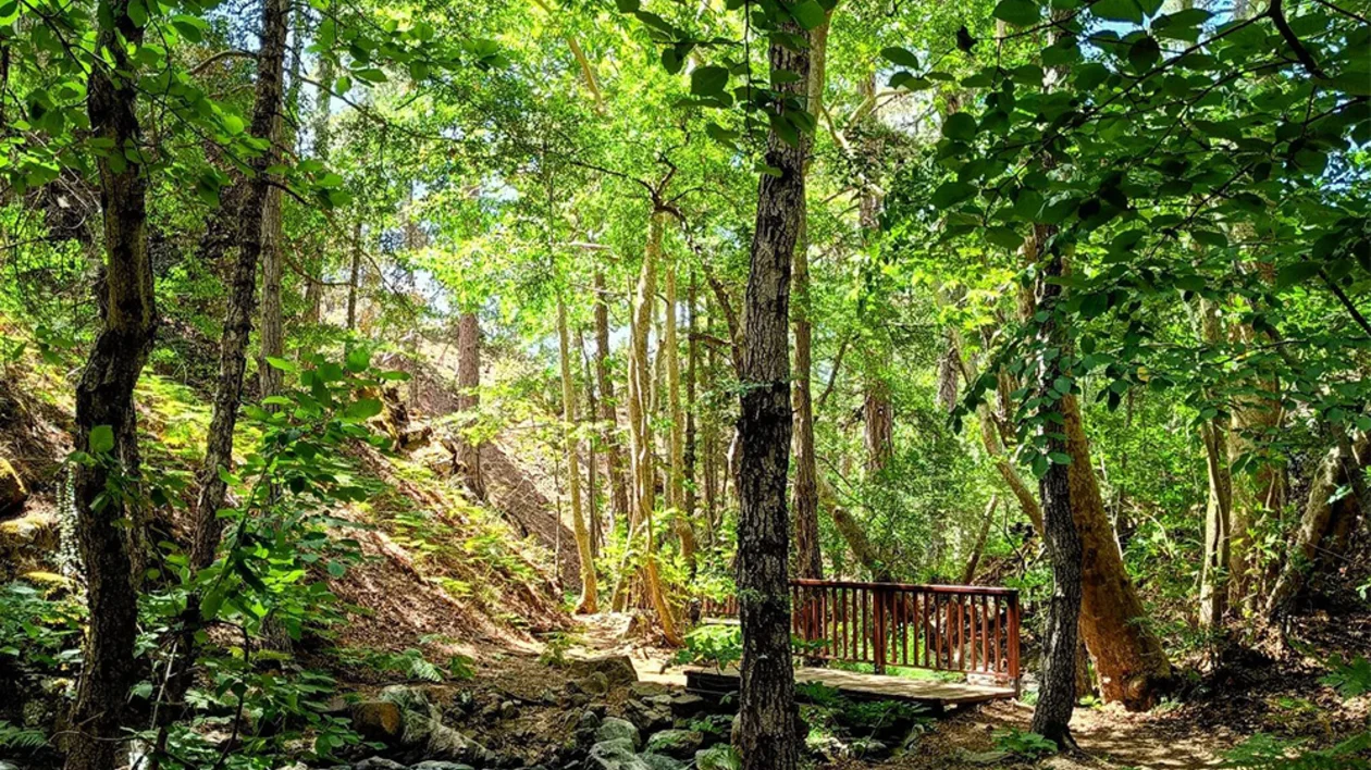 キプロス島のカレドニア自然トレイル