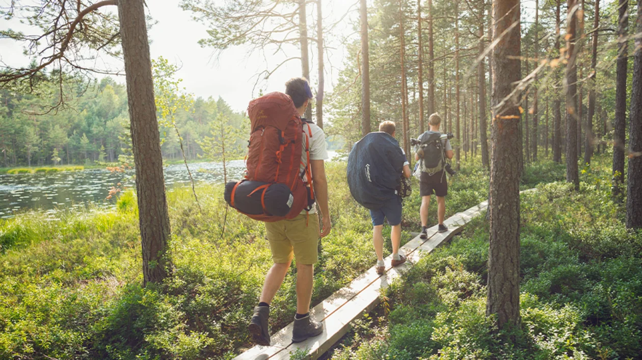 Nature in Finland. © Aku Pöllänen