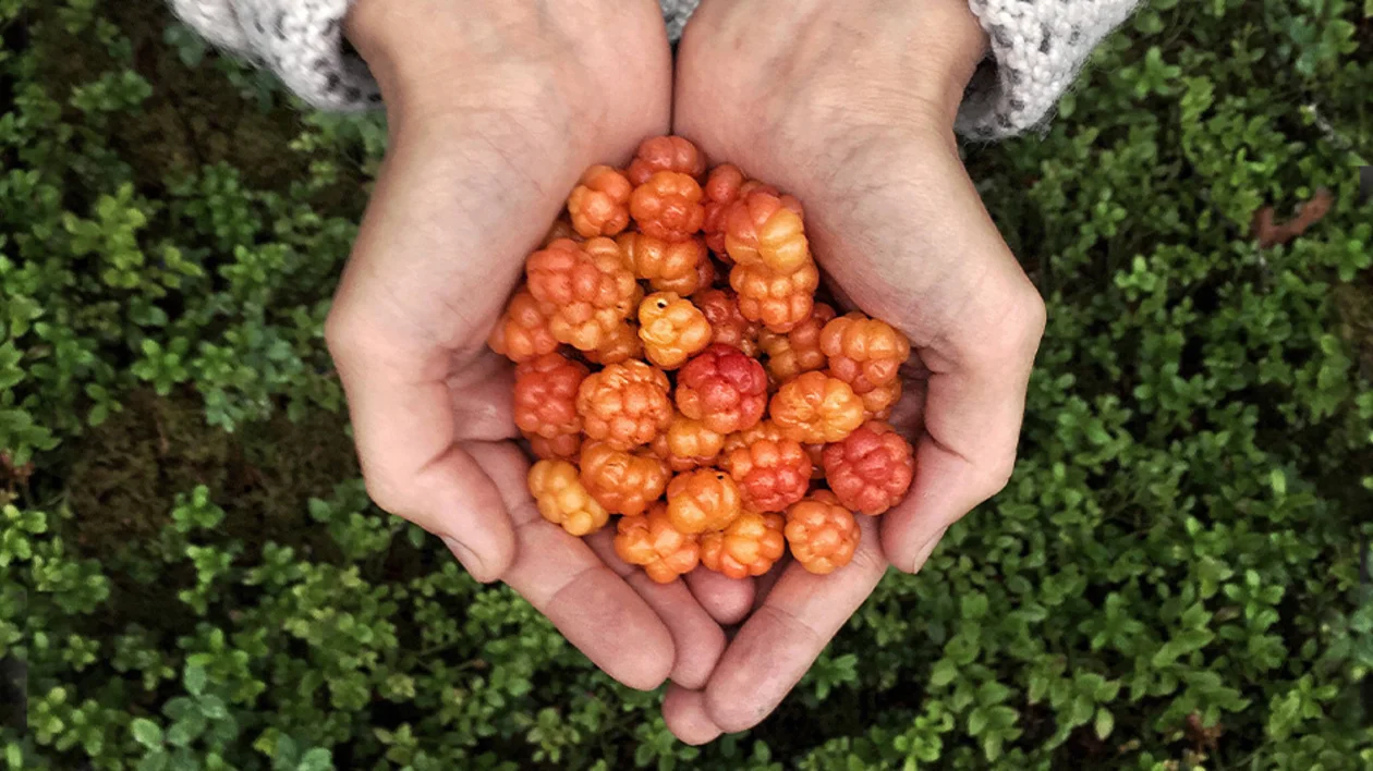 Food © Virpi Mikkonen