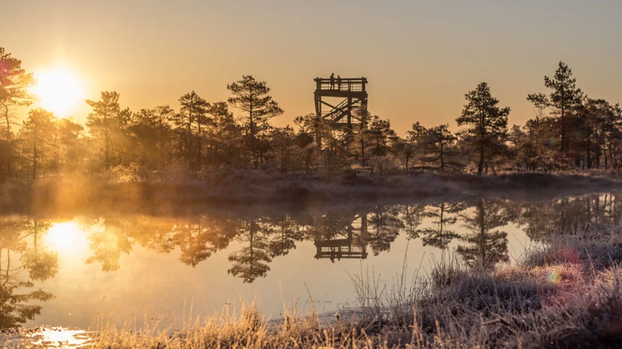 Great Kemeri Bog Boardwalk ©Artis Veigurs