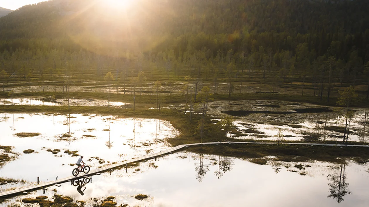 While walking and hiking might be the most common ways of exploring the stunning nature of national parks, you can also opt for something more adventurous – like hopping on a bike saddle. © Pyhä-Luosto