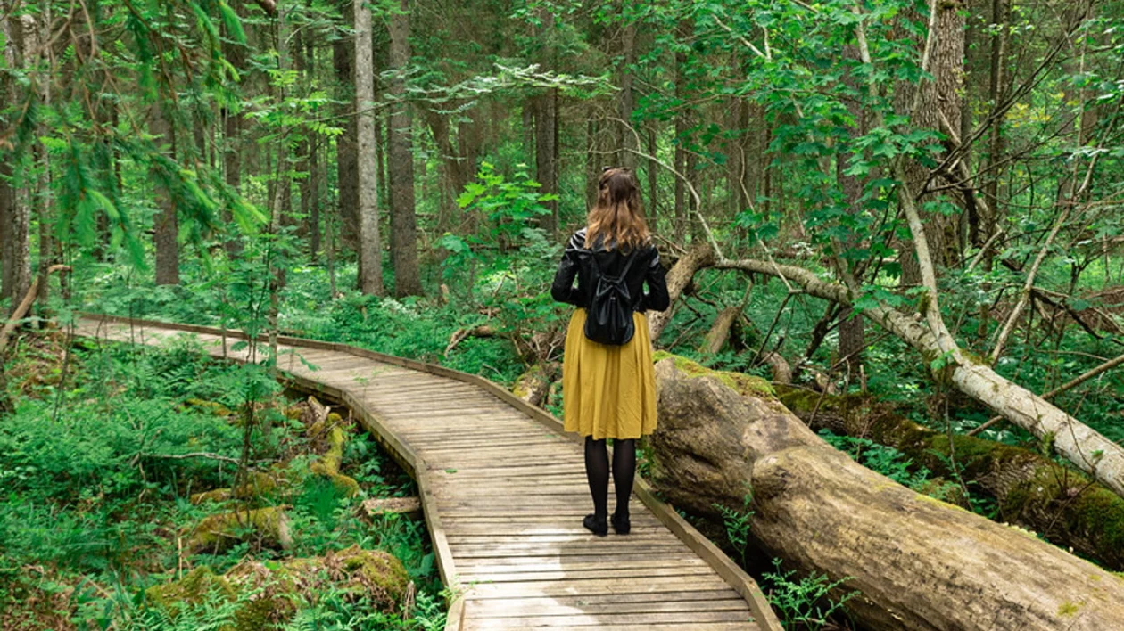 Slitere National Park ©Jānis Bautra