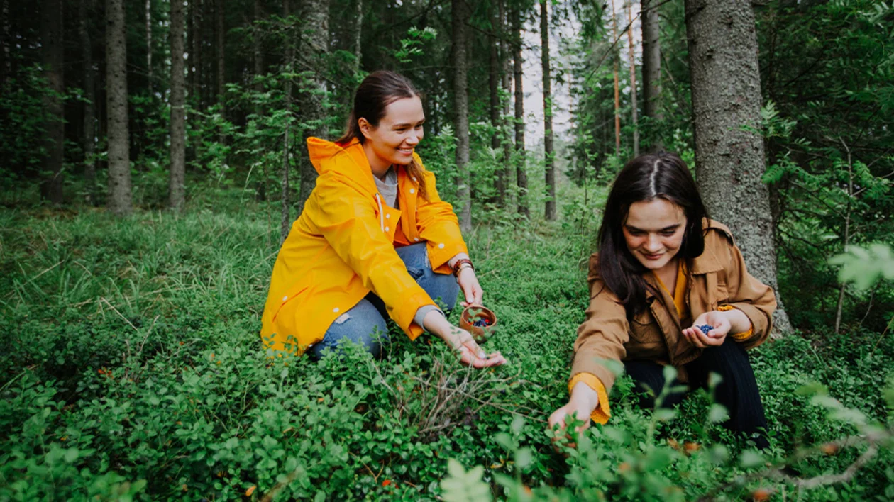 Finnish “Everyman’s rights” enable you to roam nature freely, however, always consider visitor guidelines and outdoor etiquette before doing so. © Raimo Voutilainen & Vastavalo