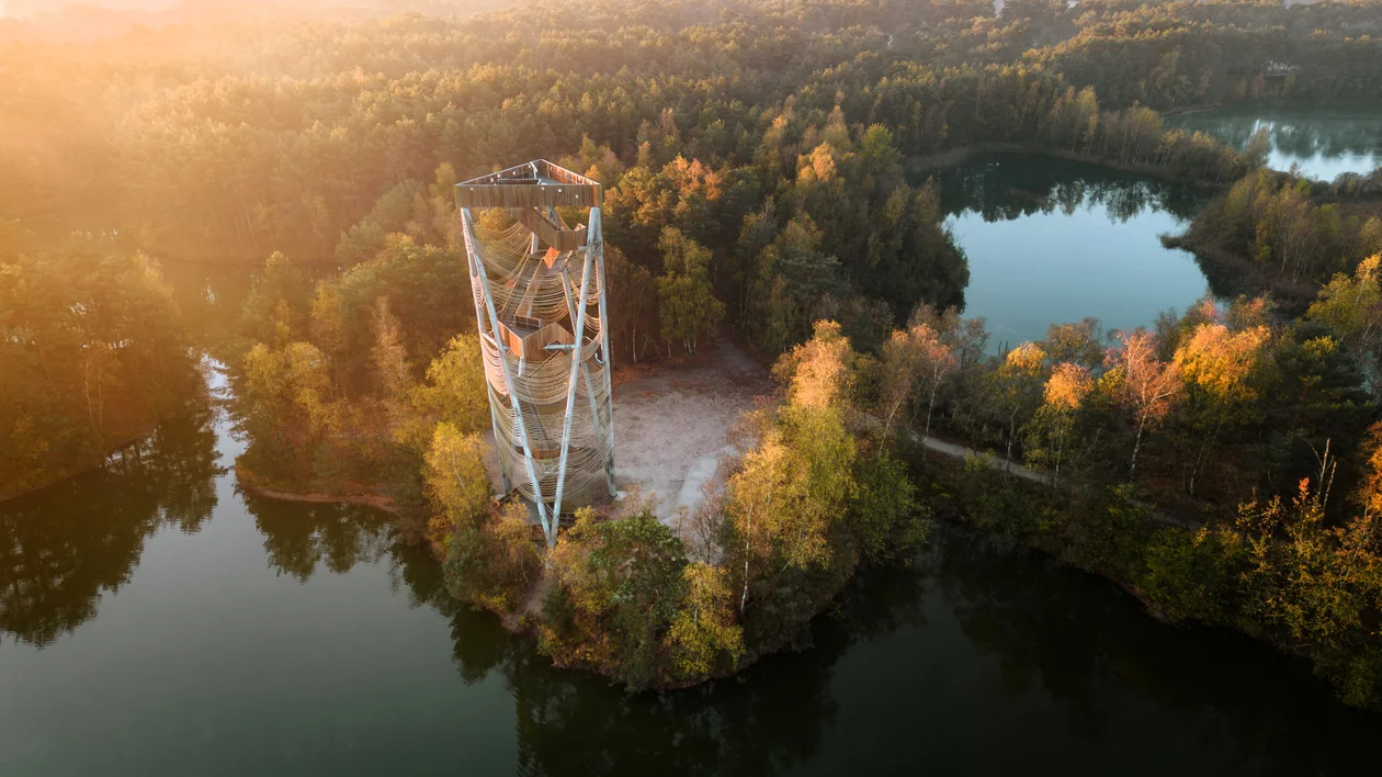 Bosland © Bjorn Snelders.jpg