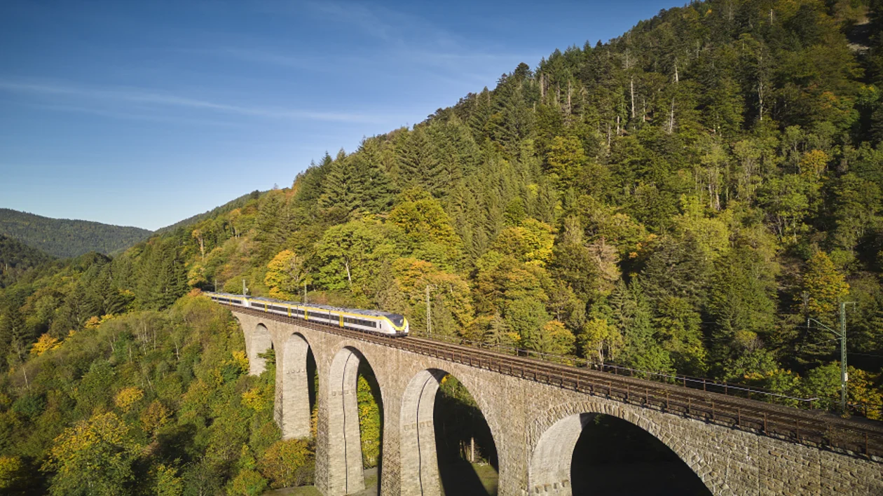 Railway crosses the Ravenna bridge in the middle of the forest