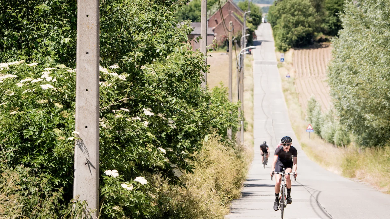 Cycling In Flanders.