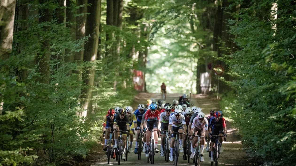 Cyling race in Belgium.