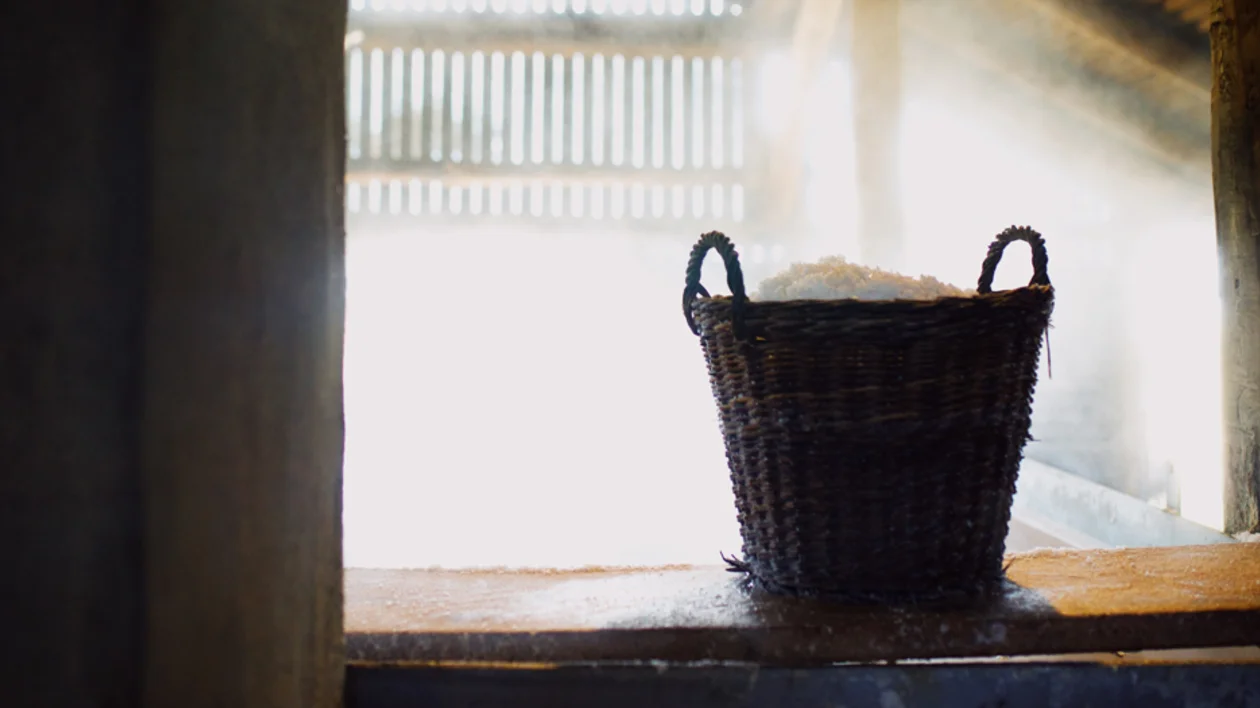 Table salt at Læsø Saltsyder