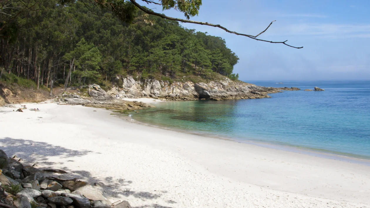 white sandy beach and turquoise sea