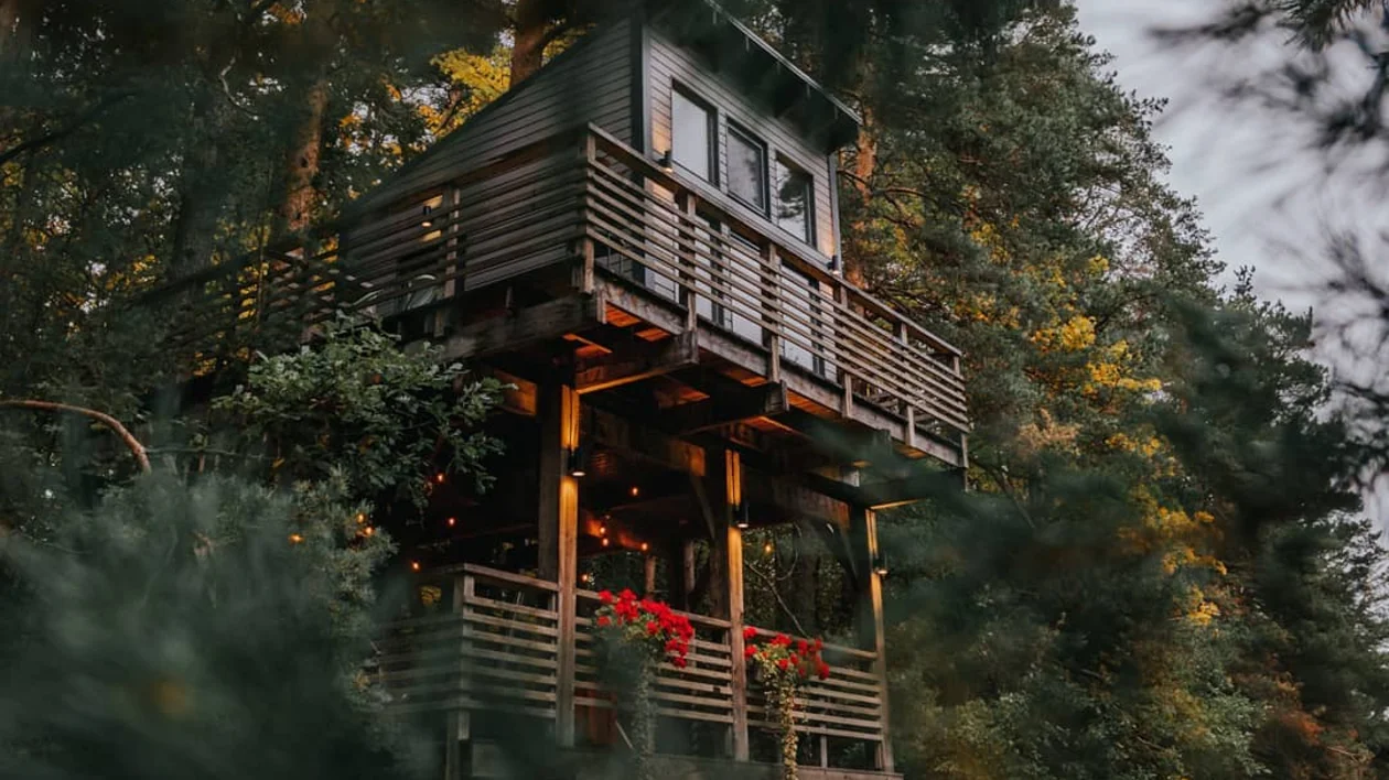 Private fancy glamping space in the Latvian forest.