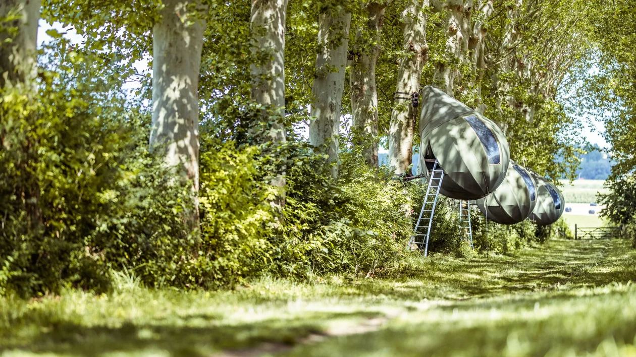 A teardrop-shaped sculpture in the trees, for a special stay.