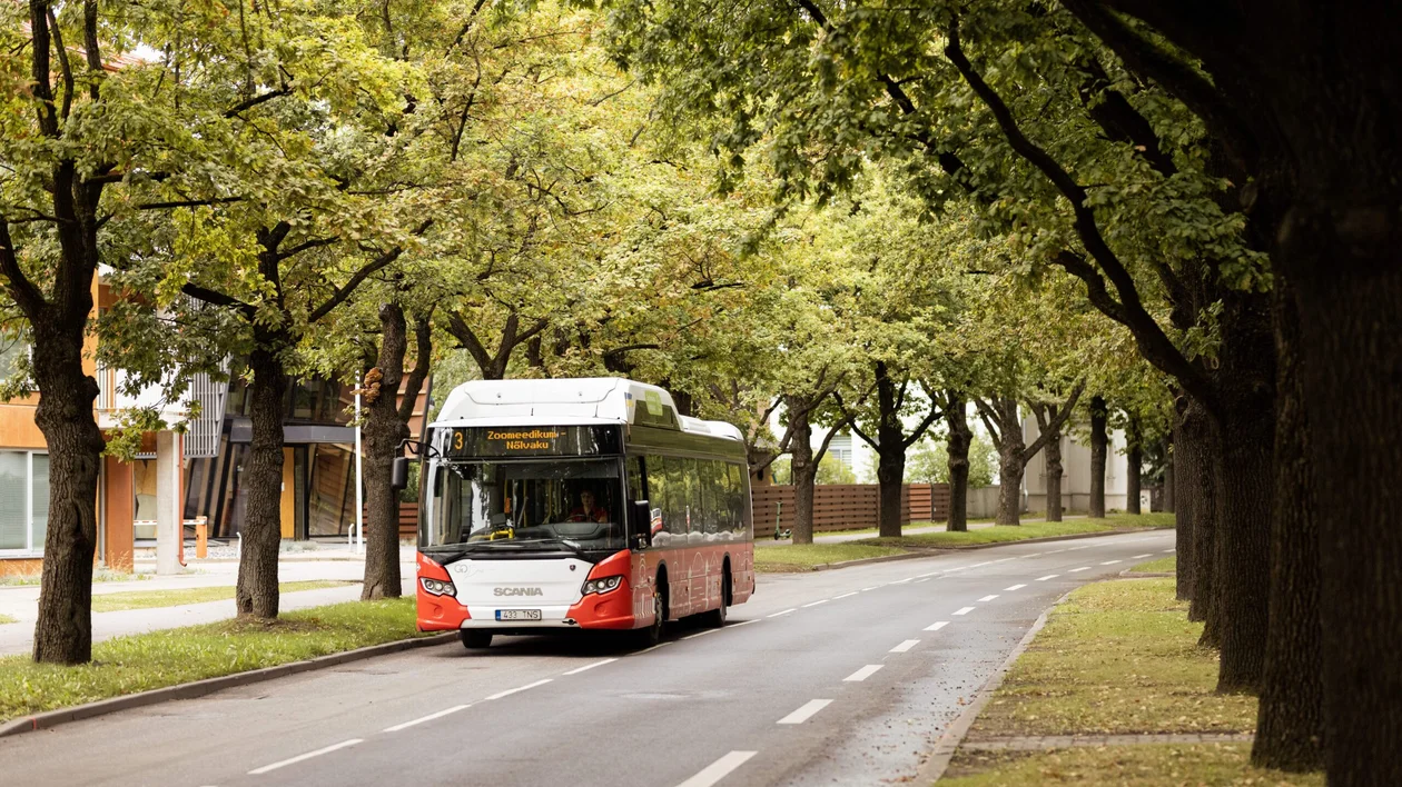 A bus travels along a tree-lined street, surrounded by greenery on both sides.