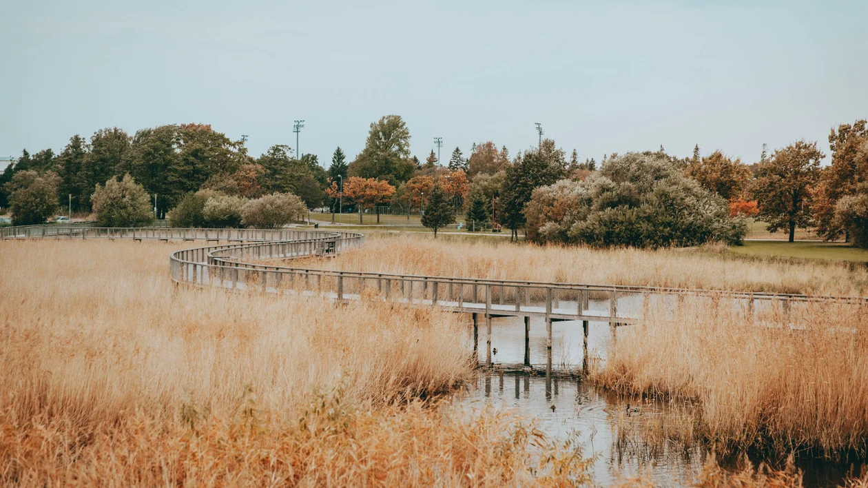 A wooden bridge stretches over a river, with grass and trees growing on each side.